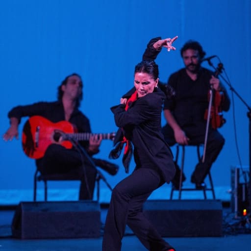 Flamenco! Maria Bermudez' Sonidos Gitanos