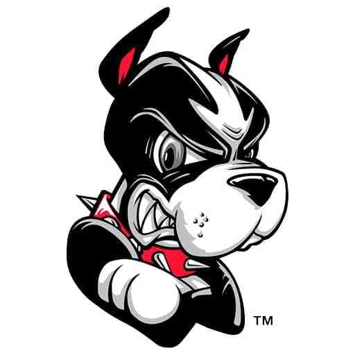 Boston University Terriers Basketball